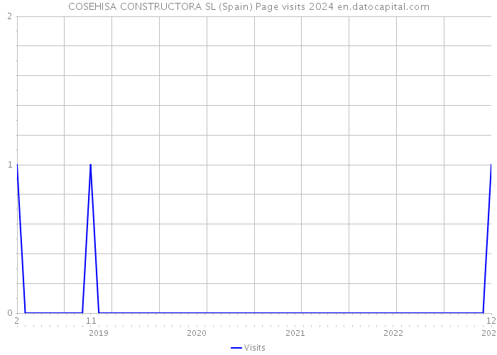 COSEHISA CONSTRUCTORA SL (Spain) Page visits 2024 