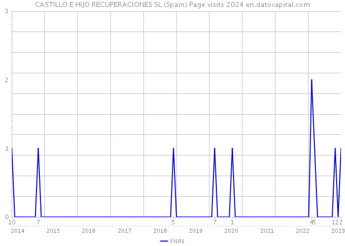 CASTILLO E HIJO RECUPERACIONES SL (Spain) Page visits 2024 
