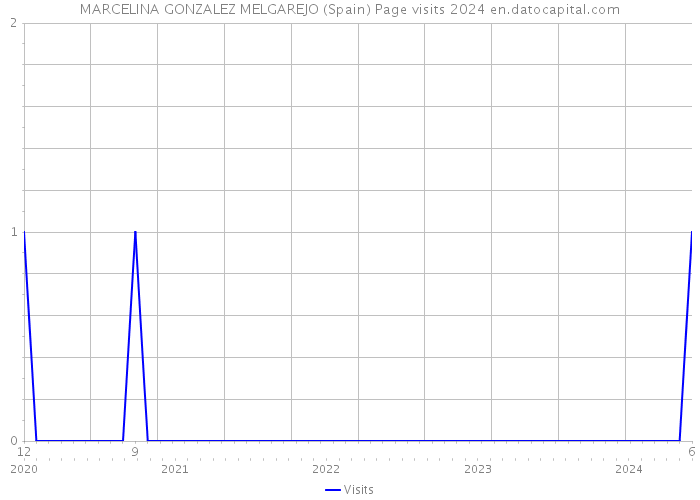 MARCELINA GONZALEZ MELGAREJO (Spain) Page visits 2024 