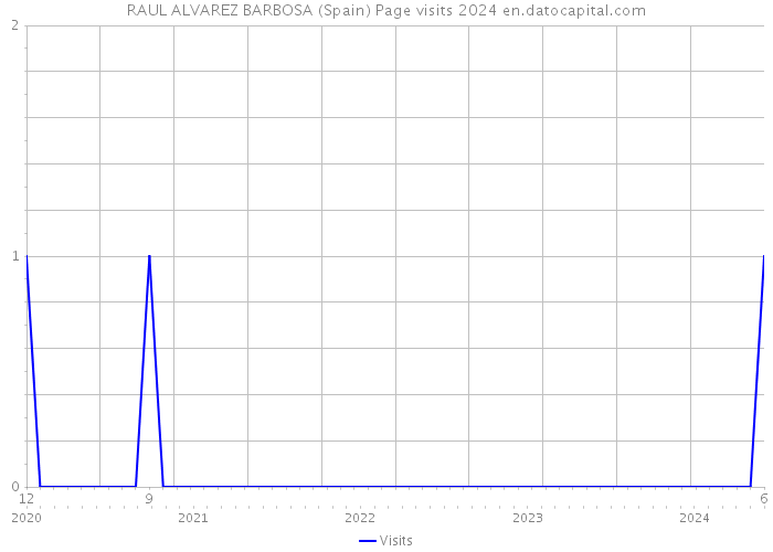 RAUL ALVAREZ BARBOSA (Spain) Page visits 2024 