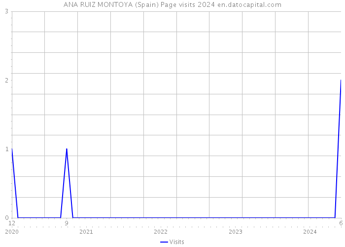 ANA RUIZ MONTOYA (Spain) Page visits 2024 