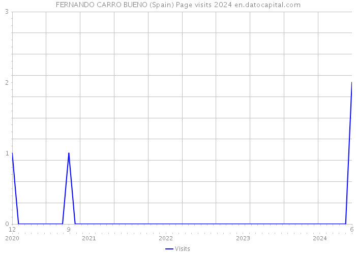 FERNANDO CARRO BUENO (Spain) Page visits 2024 