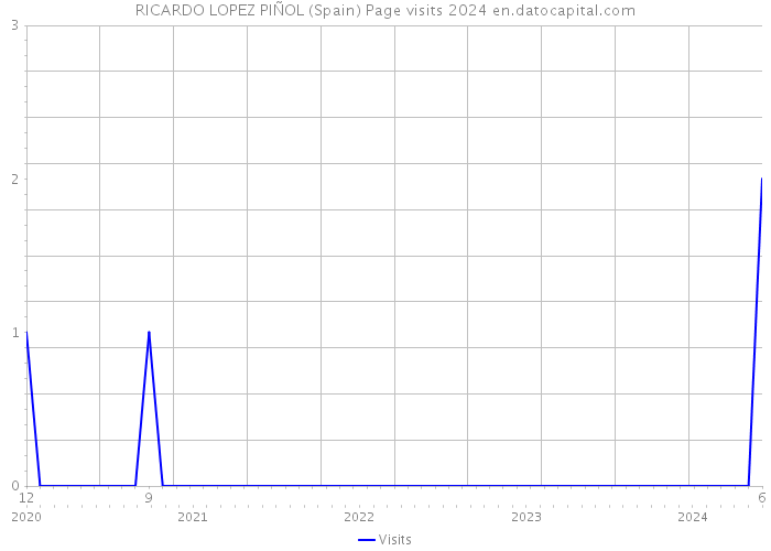 RICARDO LOPEZ PIÑOL (Spain) Page visits 2024 