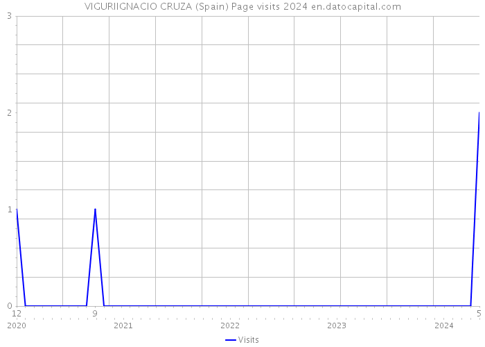 VIGURIIGNACIO CRUZA (Spain) Page visits 2024 
