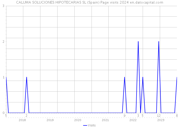 CALUMA SOLUCIONES HIPOTECARIAS SL (Spain) Page visits 2024 