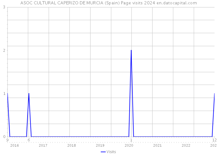 ASOC CULTURAL CAPERIZO DE MURCIA (Spain) Page visits 2024 