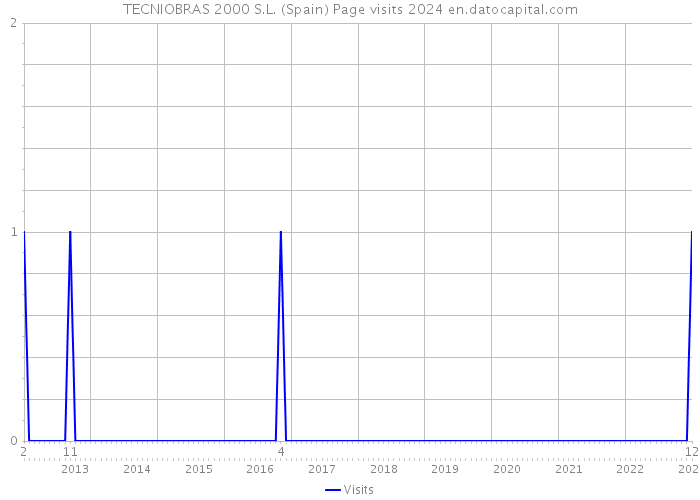 TECNIOBRAS 2000 S.L. (Spain) Page visits 2024 