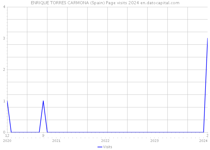 ENRIQUE TORRES CARMONA (Spain) Page visits 2024 