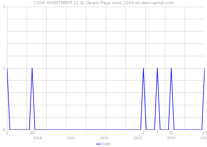 COOK INVESTMENT 21 SL (Spain) Page visits 2024 
