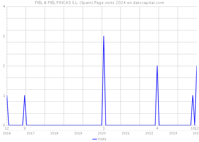 FIEL & FIEL FINCAS S.L. (Spain) Page visits 2024 