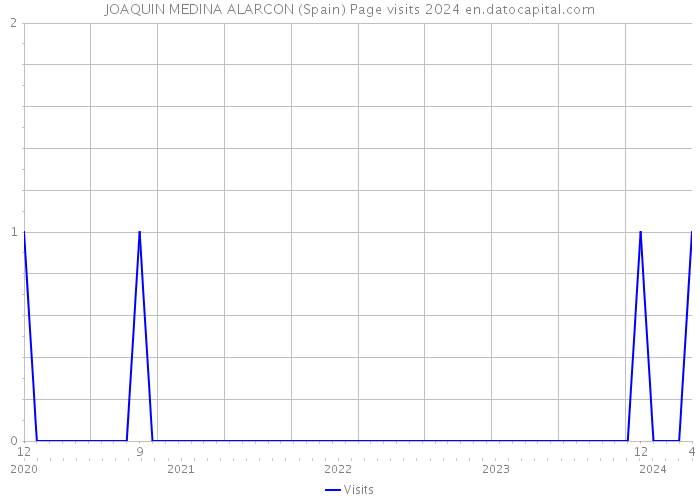 JOAQUIN MEDINA ALARCON (Spain) Page visits 2024 