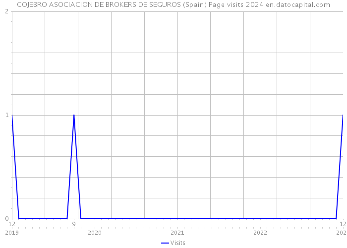 COJEBRO ASOCIACION DE BROKERS DE SEGUROS (Spain) Page visits 2024 