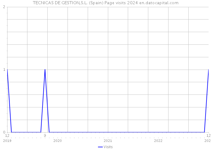 TECNICAS DE GESTION,S.L. (Spain) Page visits 2024 