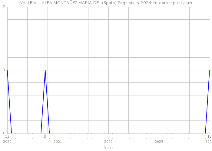 VALLE VILLALBA MONTAÑEZ MARIA DEL (Spain) Page visits 2024 