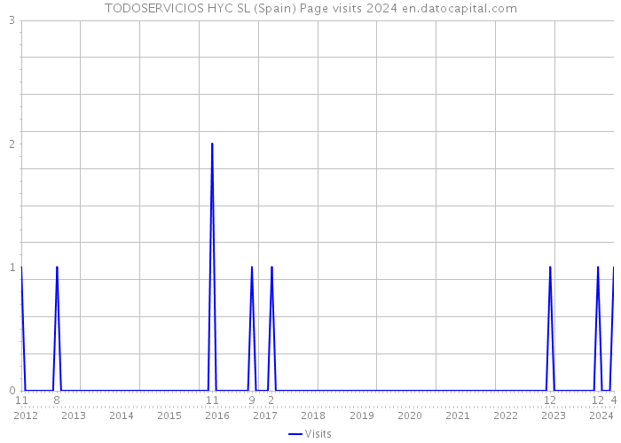 TODOSERVICIOS HYC SL (Spain) Page visits 2024 