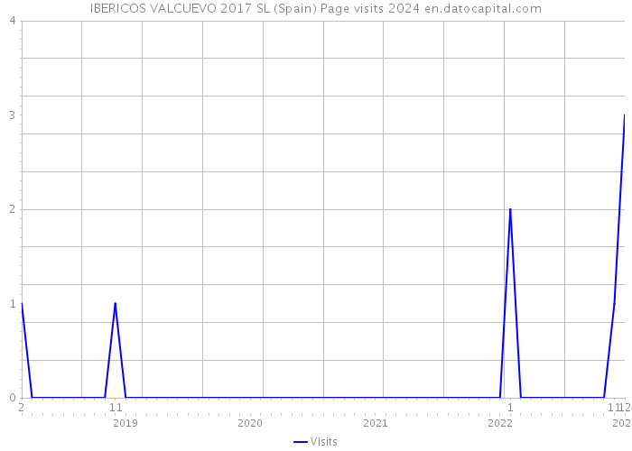 IBERICOS VALCUEVO 2017 SL (Spain) Page visits 2024 