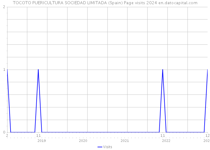 TOCOTO PUERICULTURA SOCIEDAD LIMITADA (Spain) Page visits 2024 