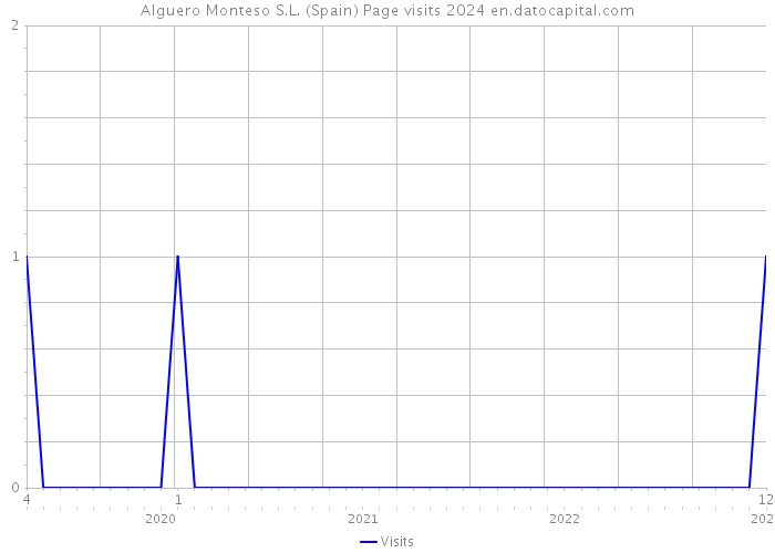 Alguero Monteso S.L. (Spain) Page visits 2024 