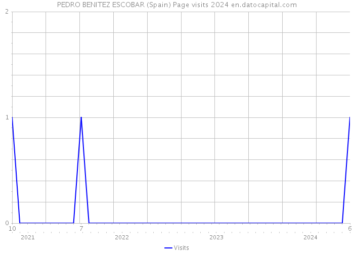 PEDRO BENITEZ ESCOBAR (Spain) Page visits 2024 