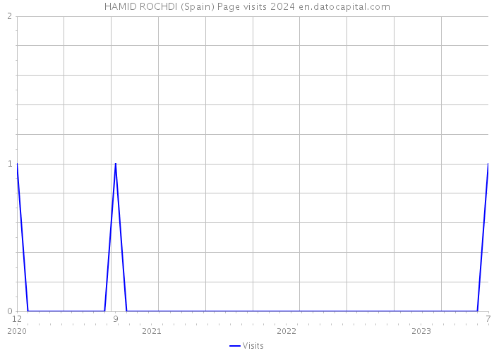 HAMID ROCHDI (Spain) Page visits 2024 