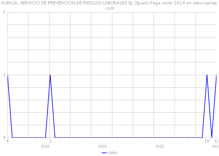 AURIGA, SERVICIO DE PREVENCION DE RIESGOS LABORALES SL (Spain) Page visits 2024 