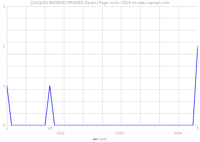 JOAQUIN BADENES PRADES (Spain) Page visits 2024 