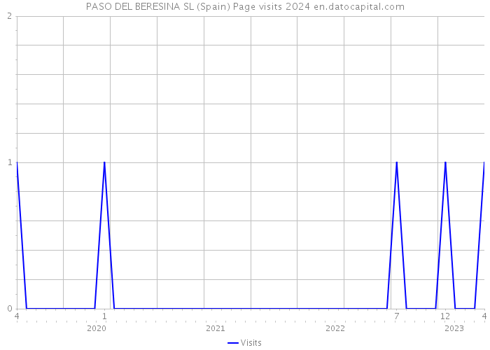 PASO DEL BERESINA SL (Spain) Page visits 2024 