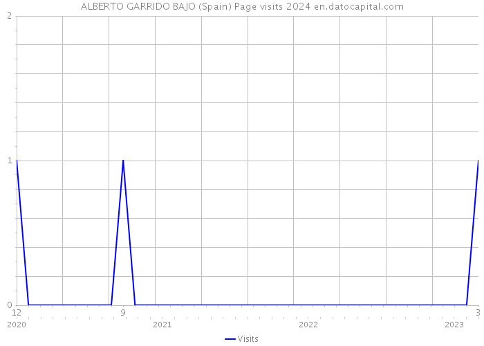 ALBERTO GARRIDO BAJO (Spain) Page visits 2024 