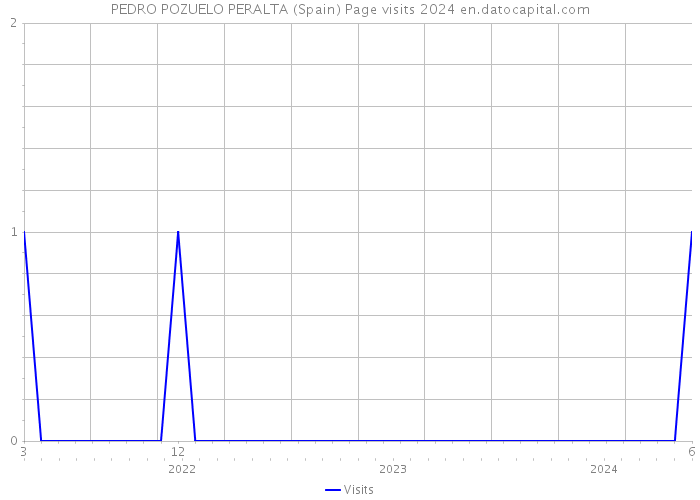 PEDRO POZUELO PERALTA (Spain) Page visits 2024 