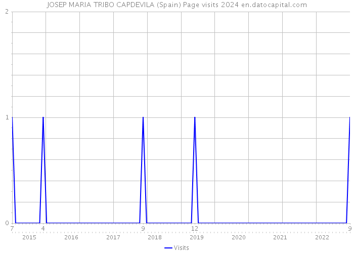 JOSEP MARIA TRIBO CAPDEVILA (Spain) Page visits 2024 