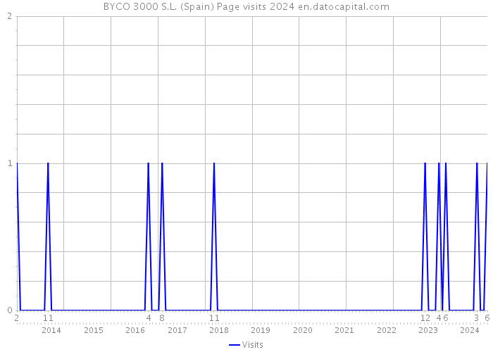 BYCO 3000 S.L. (Spain) Page visits 2024 