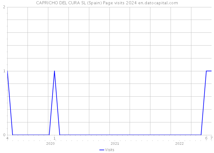 CAPRICHO DEL CURA SL (Spain) Page visits 2024 