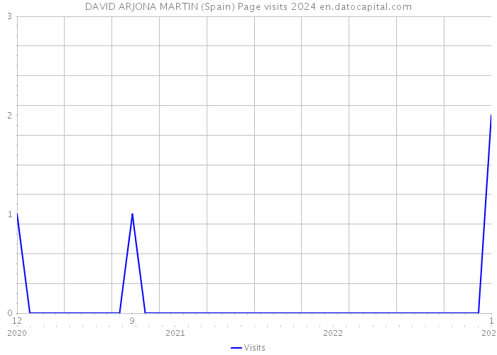 DAVID ARJONA MARTIN (Spain) Page visits 2024 