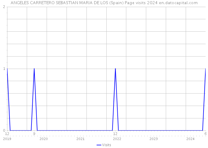 ANGELES CARRETERO SEBASTIAN MARIA DE LOS (Spain) Page visits 2024 
