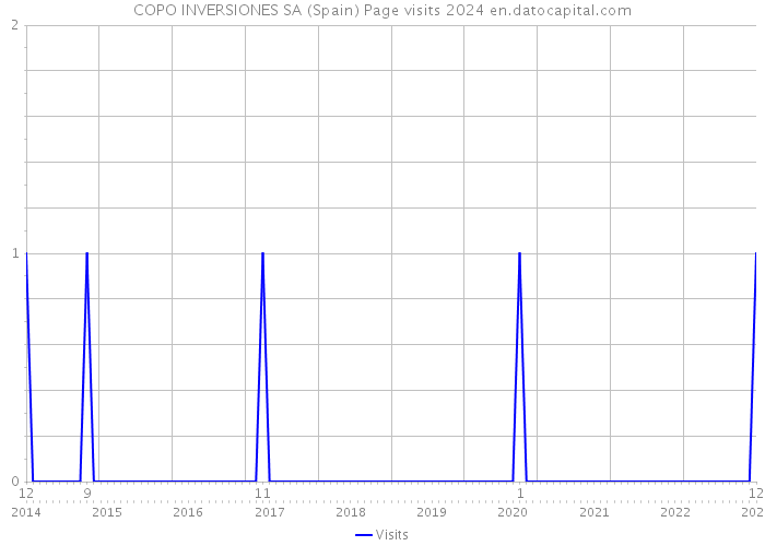 COPO INVERSIONES SA (Spain) Page visits 2024 