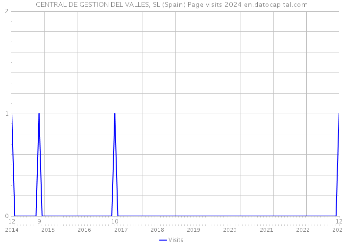 CENTRAL DE GESTION DEL VALLES, SL (Spain) Page visits 2024 