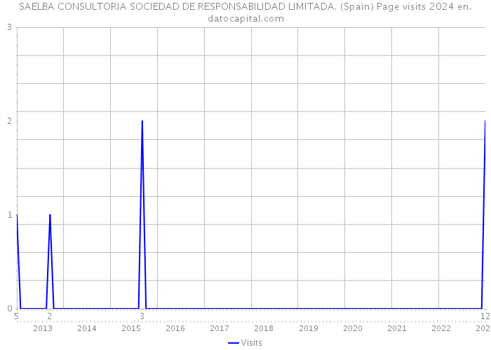 SAELBA CONSULTORIA SOCIEDAD DE RESPONSABILIDAD LIMITADA. (Spain) Page visits 2024 