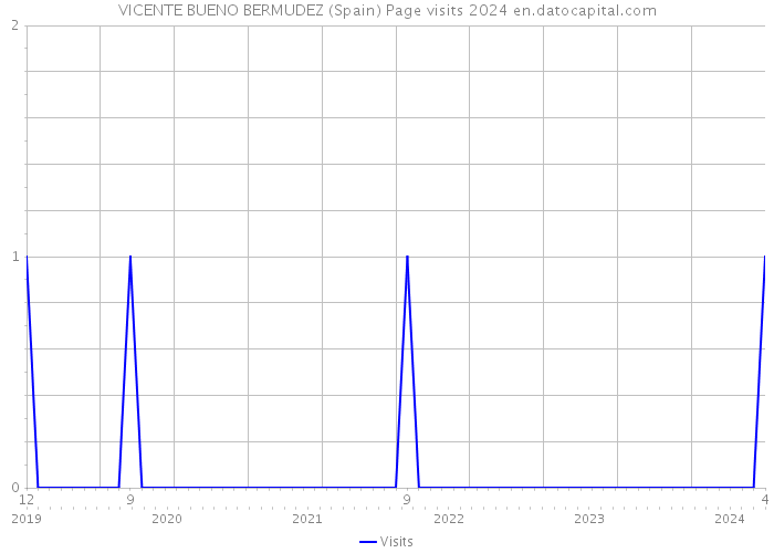 VICENTE BUENO BERMUDEZ (Spain) Page visits 2024 