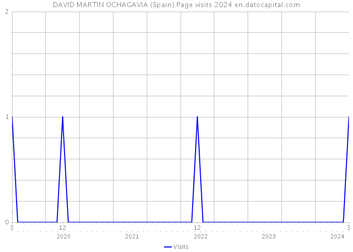 DAVID MARTIN OCHAGAVIA (Spain) Page visits 2024 