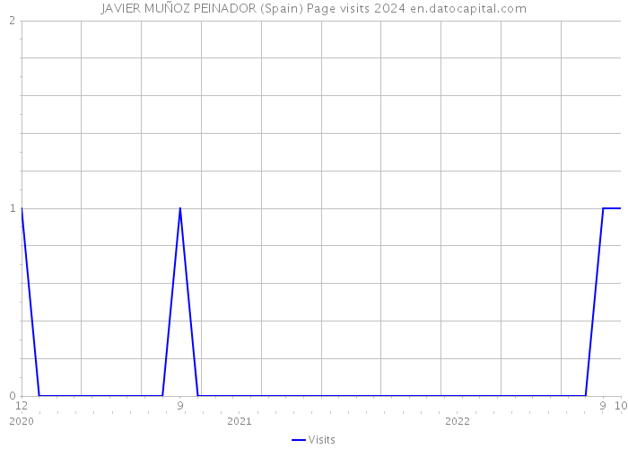 JAVIER MUÑOZ PEINADOR (Spain) Page visits 2024 