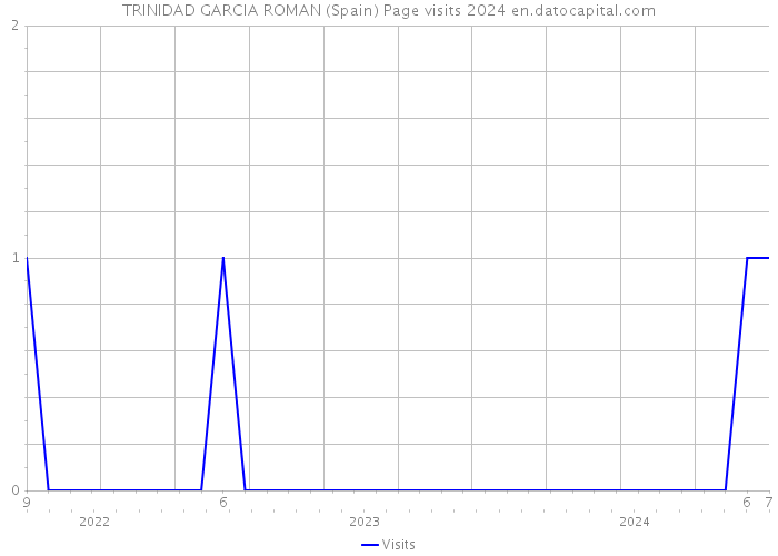 TRINIDAD GARCIA ROMAN (Spain) Page visits 2024 