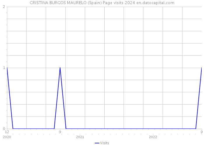 CRISTINA BURGOS MAURELO (Spain) Page visits 2024 