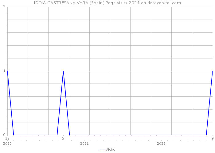 IDOIA CASTRESANA VARA (Spain) Page visits 2024 