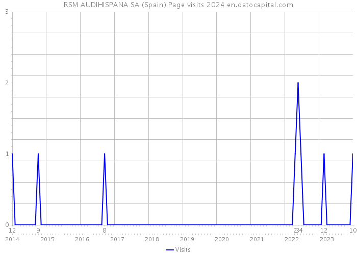 RSM AUDIHISPANA SA (Spain) Page visits 2024 