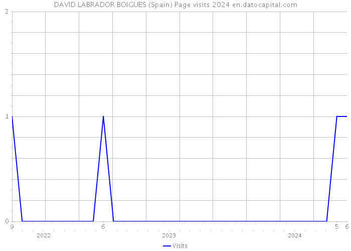 DAVID LABRADOR BOIGUES (Spain) Page visits 2024 