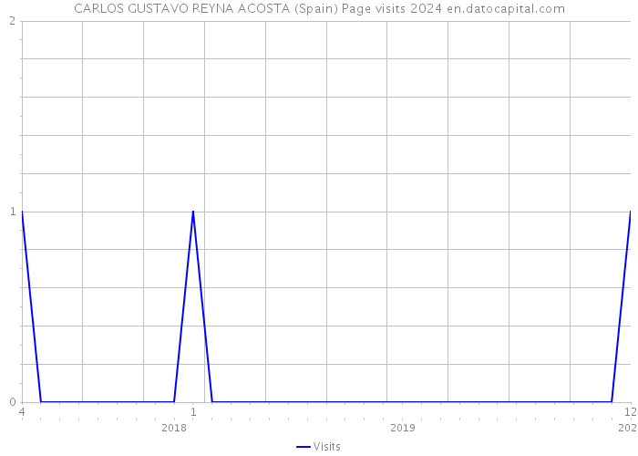 CARLOS GUSTAVO REYNA ACOSTA (Spain) Page visits 2024 