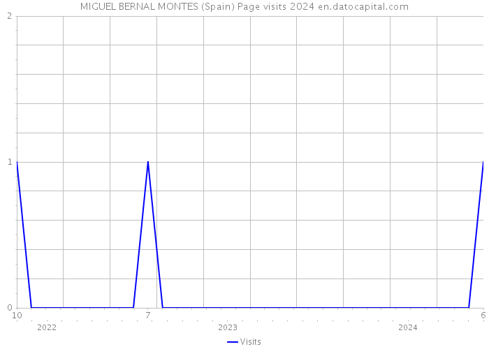 MIGUEL BERNAL MONTES (Spain) Page visits 2024 