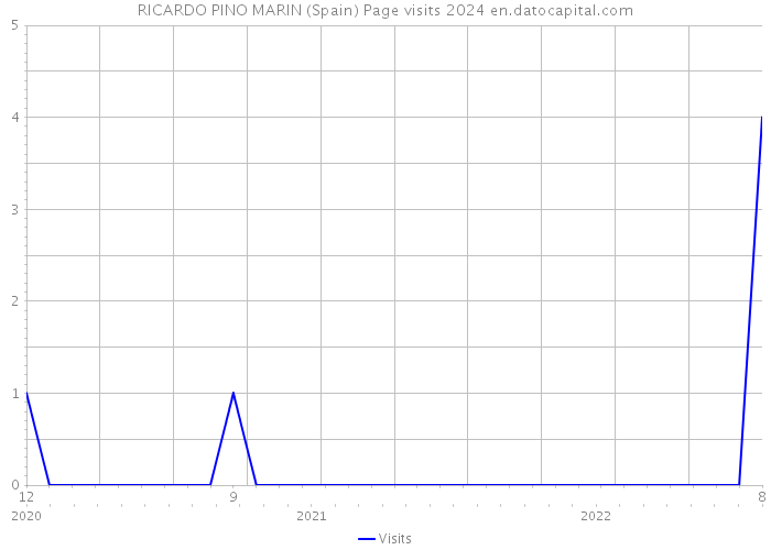 RICARDO PINO MARIN (Spain) Page visits 2024 