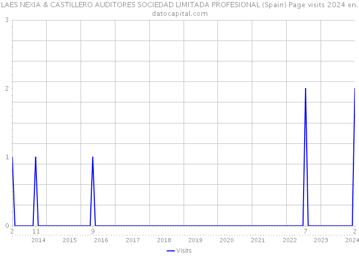 LAES NEXIA & CASTILLERO AUDITORES SOCIEDAD LIMITADA PROFESIONAL (Spain) Page visits 2024 