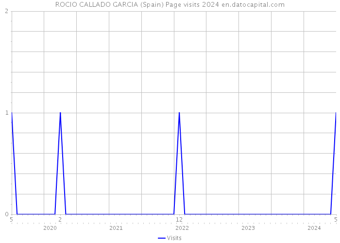 ROCIO CALLADO GARCIA (Spain) Page visits 2024 
